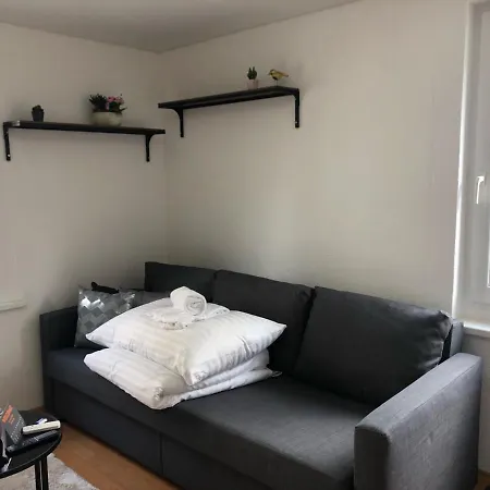 Joy - Lachen Apartamento St. Gallen